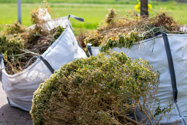 Best Attic Cleanout Services  in USA